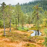 Ferienhaus 4 Bedroom Pet Friendly In Eggedal