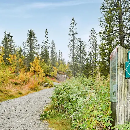 Semesterbostad 4 Bedroom Pet Friendly In Eggedal