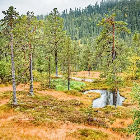 Semesterbostad 4 Bedroom Pet Friendly In Eggedal